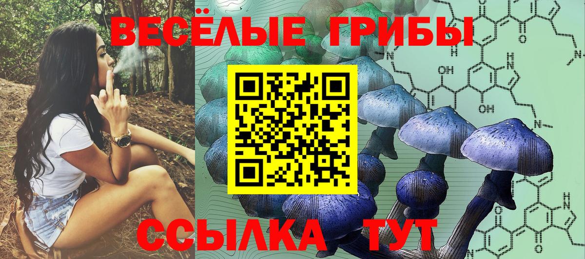 Грозный  Псилоцибиновые грибы GOLDEN TEACHER  Вход с VPN 