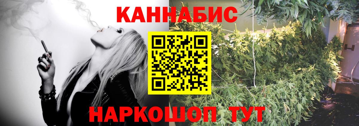 Грозный  Марихуана Bruce Banner  Бошки марихуана планчик  Канабис тримм  Вход с VPN 